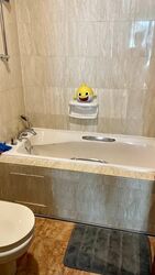 Duchess Crest (D10), Condominium #555215801